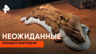 «Загадки человечества»: неожиданные находки шахтёров