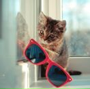 Діанка Новіцька фотография #29 (источник - https://vk.com/id142731854)