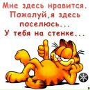 Ірина Штельмах фотография #33 (источник - https://vk.com/id162222660)