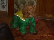 Игорь Горох фотография #50 (источник - https://vk.com/id6322143)