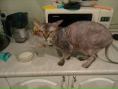 Фотография Лукиной Ирины