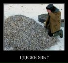 Віктор Венгриновський фотография #24 (источник - https://vk.com/id70276041)