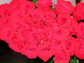 Фотография Мартыновской Анастасии