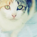 Фотография Бариновой Раисы