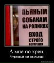 Дмитрий Винник фотография #10 (источник - https://vk.com/id26933235)