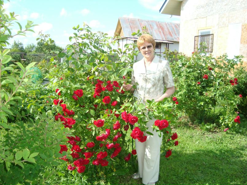 №6, Елена Пестунович, Санкт-Петербург №6, Елена Пестунович, Санкт-Петербург