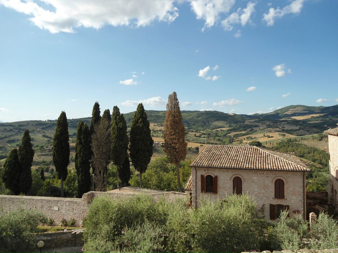 Dmitry Davidenko фотография #45