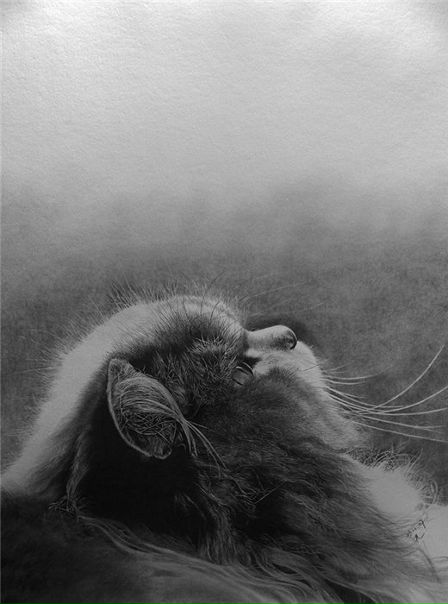 Bat Man фото №21