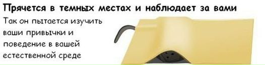 Соломія Паращак фотография #17 (источник - https://vk.com/id113762260)