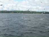 Фотография Куртенка Сергея