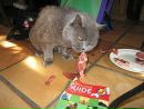 Саша Кошіль фотография #1