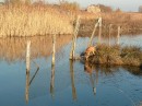 Павел Коваль фотография #33 (источник - https://vk.com/id69178)