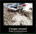  фотография #45