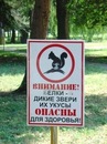 Фотография Белкина Александра