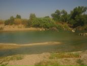 Spaik Loo фотография #36 (источник - https://vk.com/id2344265)