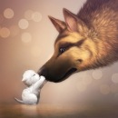 Фотография Kızılkaya Murat