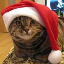 Фотография Бабарицкой Виктории