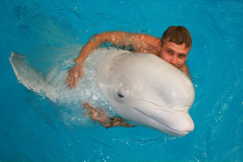 Максим Давидчук фотография #34