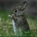 Маша Шишкина фотография #23 (источник - https://vk.com/id347841)