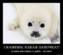 Настя Гущіна фотография #4 (источник - https://vk.com/id27938907)