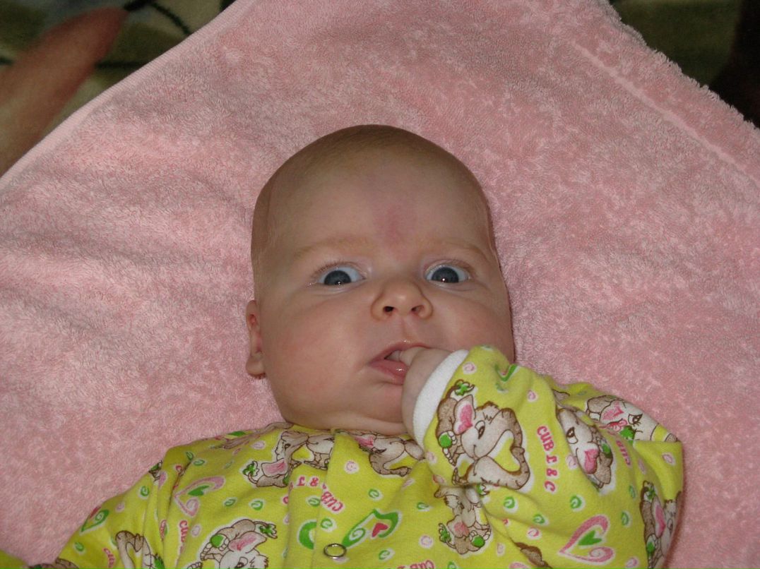 Владимир Левшевич фотография #25