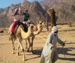 Фотография Босенок Ирины