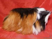 Фотография Табунковой Елены