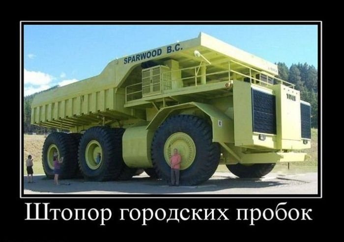 Александр Амиров фотография #50