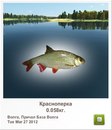 Антоній Швець фотография #13 (источник - https://vk.com/id166788359)