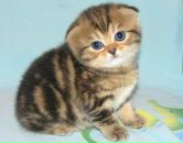 Фотография Ковановой Марии