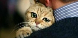 Любовь Духанова фотография #12 (источник - https://vk.com/id5068523)