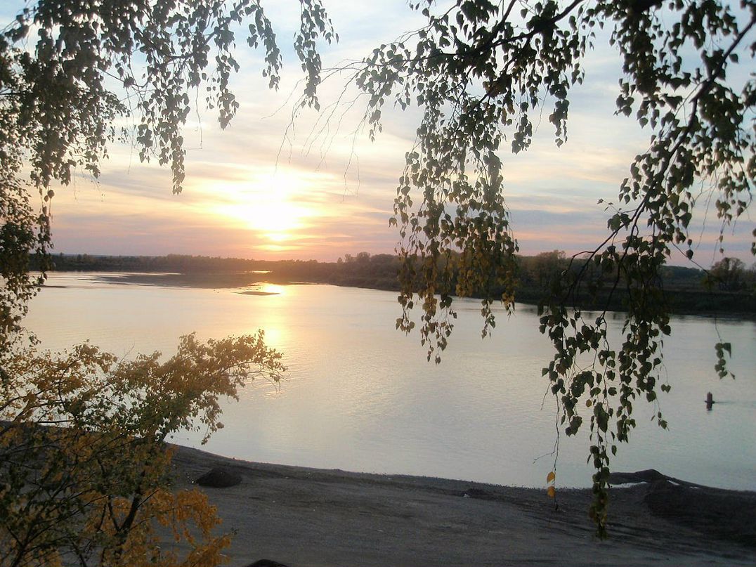 Светлана Плотникова фотография #41