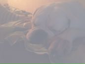 Егор Егорка фотография #5 (источник - https://vk.com/id1237118)