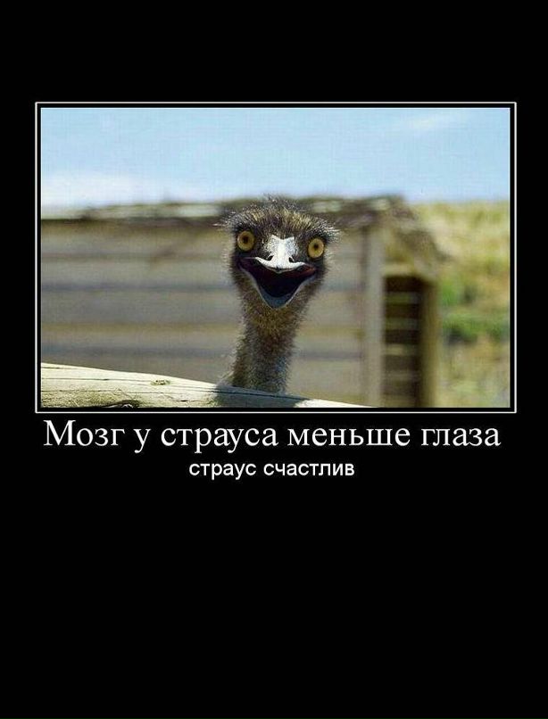 Джон Сильвер фотография #6