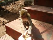 Roman Khromtsov фотография #46 (источник - https://vk.com/id1180370)