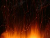 Фотография Кондраковой Елены