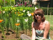 Фотография Солохай Марии