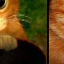 Олег Вівчарик фотография #27 (источник - https://vk.com/id40543935)