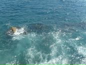 Наташенька Місюкевич фотография #23 (источник - https://vk.com/id94379522)