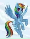 Rainbow Dash фотография #22 (источник - https://vk.com/id160507519)