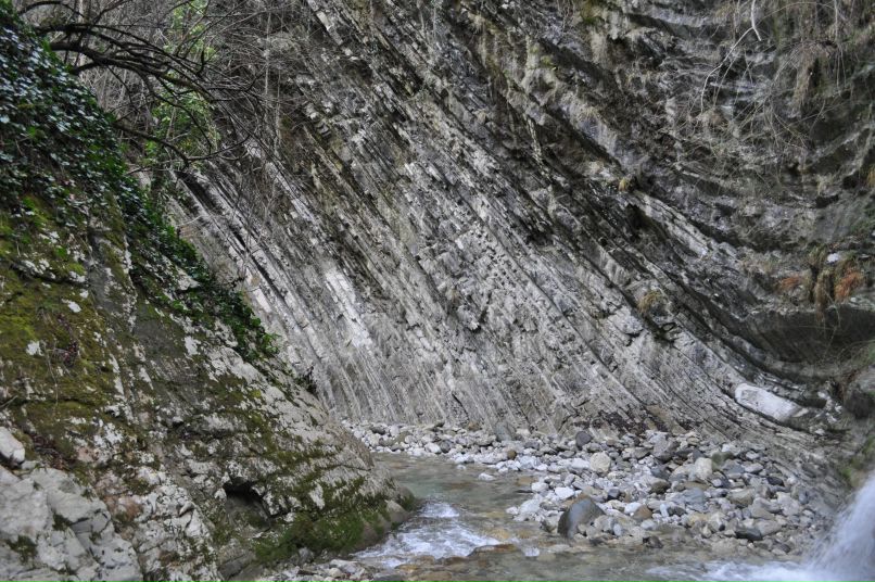 Миша Михайличенко фотография #38