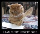Андрій Котула фотография #1