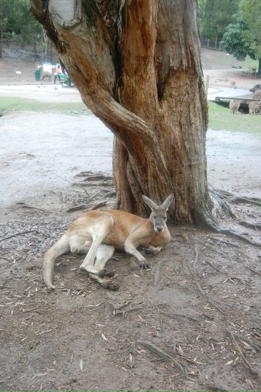 Дарья Кружалова фотография #36