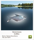 Микола Канцір фотография #8 (источник - https://vk.com/id137840408)