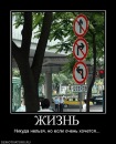 Дініс Петренко фотография #28 (источник - https://vk.com/id78079910)