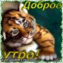 Фотография Тайсиной Анны