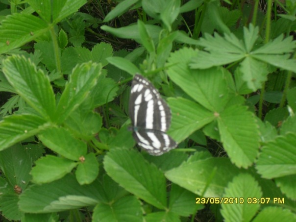 Сергей Сергеев фото №3