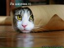 Ліля Петренко фотография #22 (источник - https://vk.com/id117975899)