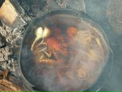 Дмитрий Торкель фотография #5 (источник - https://vk.com/id781817)