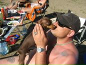 Фотография Петергофа Саши